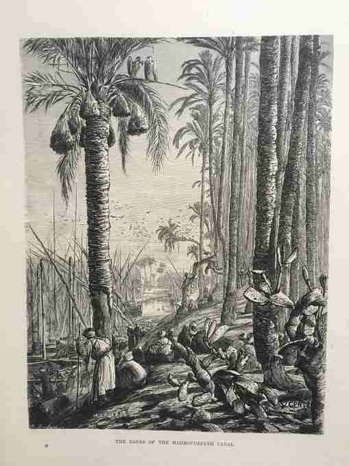 Buy  Uploaded To Egypt : Descriptive, Historical & Picturesque.2 Vols Set- 2 Sets