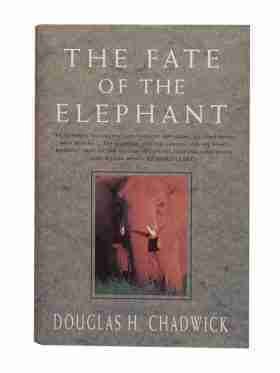 The Fate of The Elephant