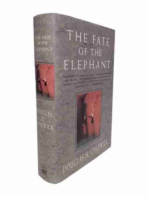 The Fate of The Elephant 2