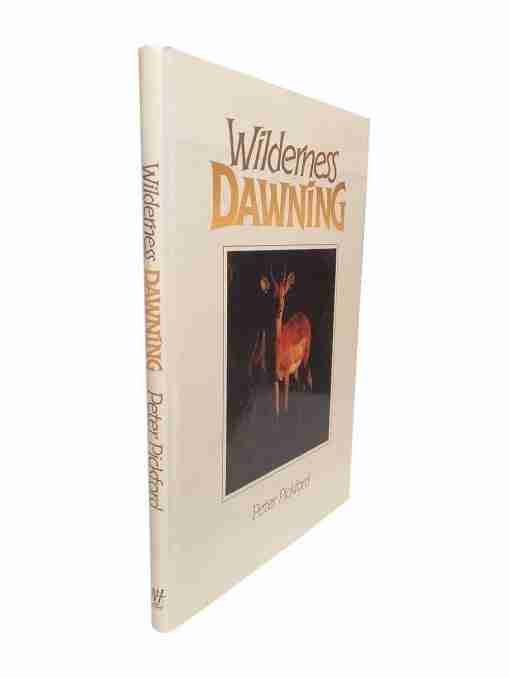 Wilderness Dawning 2