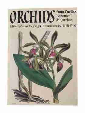 Orchids From Curtis’s Botanical Magazine