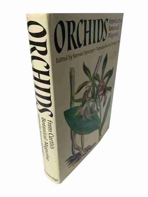 Orchids From Curtis’s Botanical Magazine 2