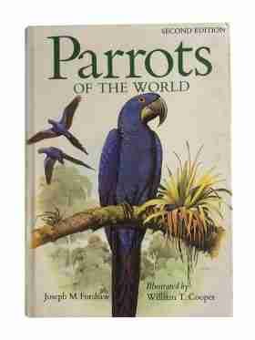 Parrots Of The World